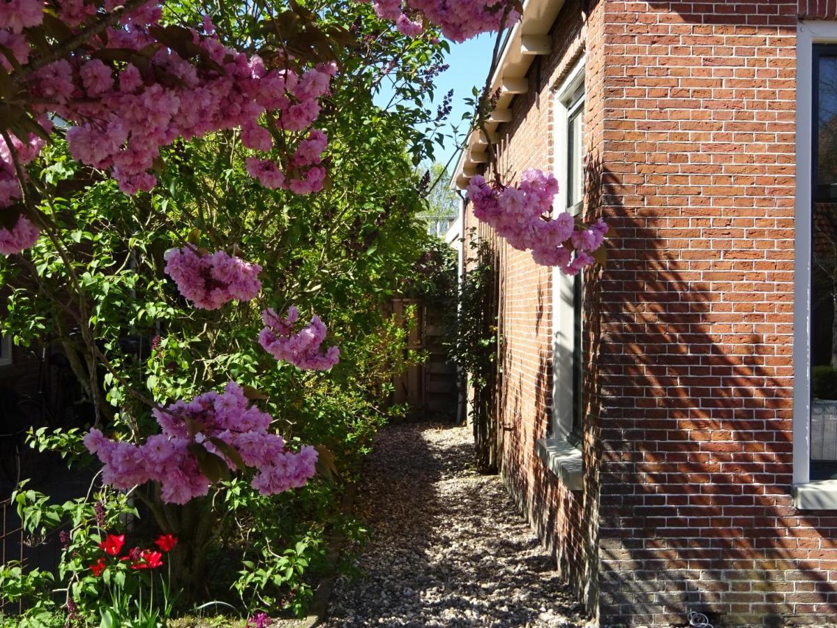 D' Ald Skoalle - Sfeervol Appartement In Oude School. Wijtgaard Eksteriør billede